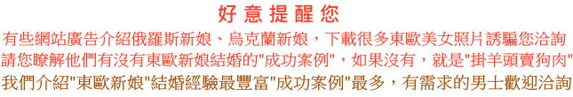 服務說明與婚姻資訊 29